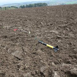 2013 Svojek Mirek Topinka